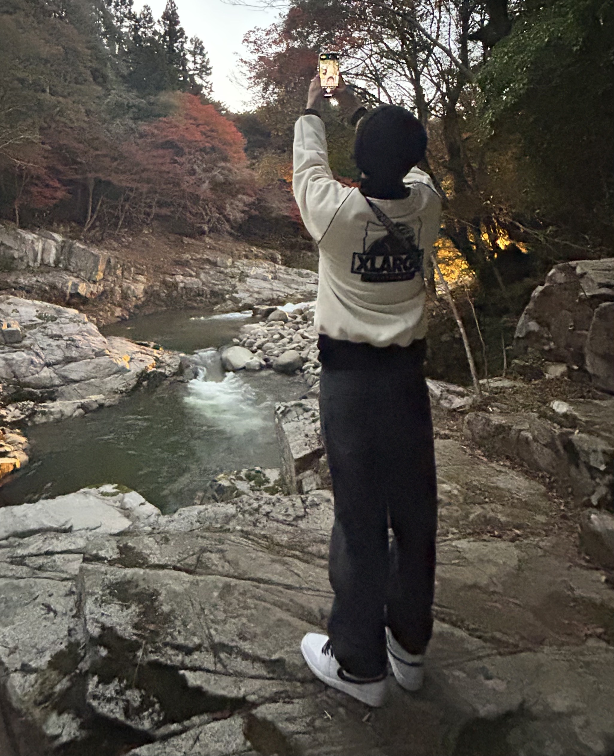 Miyamoto Naoya プロフィール写真